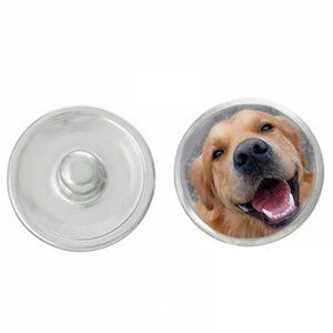 Your pet in a ginger snap!! 2 Buttons